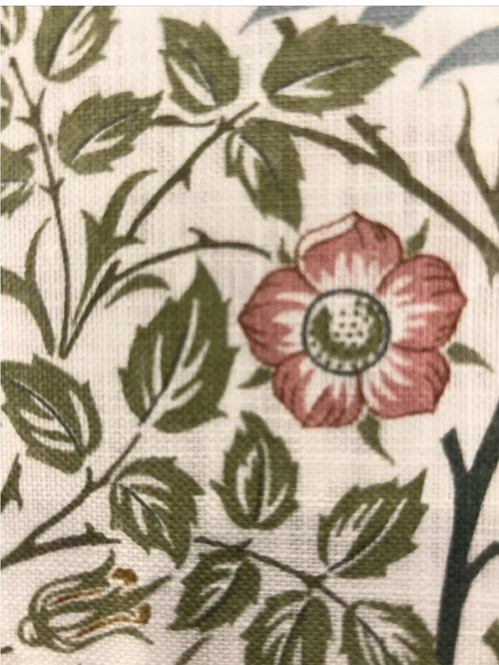 William Morris & Co Sweet Briar Floral 70